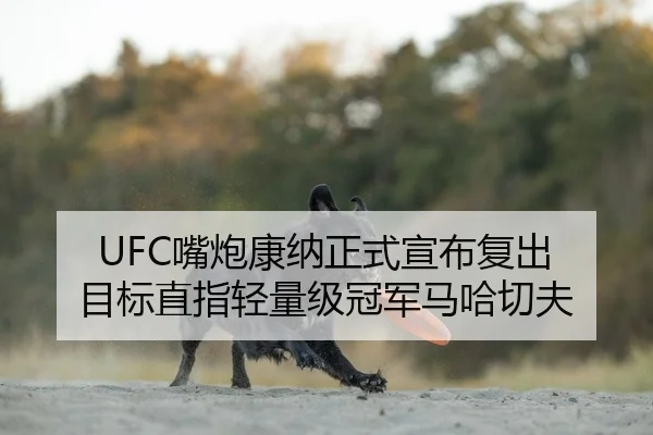 zui-pao-kang-na-zheng-shi-xuan-bu-fu-chu-mu-biao-zhi-zhi-qing-liang-ji-guan-jun-ma-ha-qie-fu-2-616.jpg